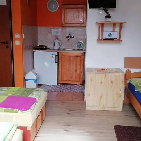 Zeleny Dom Πανσιόν Bojnice